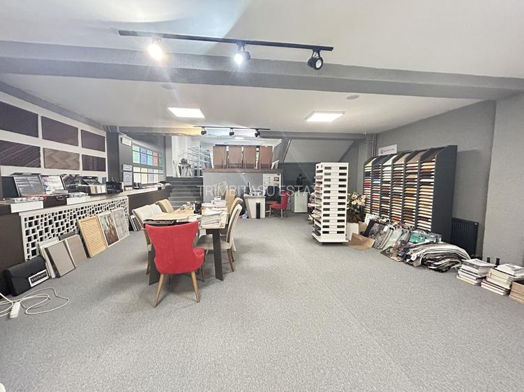 Imobil S+D+P+E+M - Centru - str. Siretului v-a-v de Regina Maria 678mp - 9