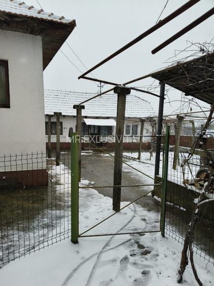 Proprietate rară – 2 case + livadă, vie și teren generos, la 20 km de Târgu Jiu - 18