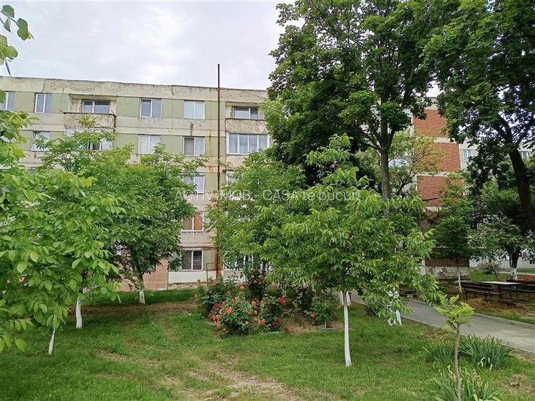 Apartament 2 camere in zona centrala Moldova Noua - 13