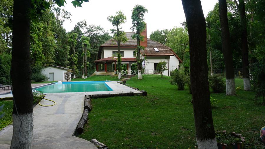 Vila superba in Padurea Baneasa, curte 5000 mp, piscina exterioara - 44