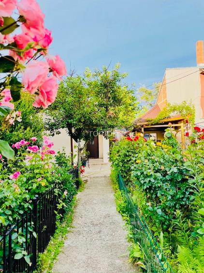 Vand casa ultracentra 199.000 euro - 12