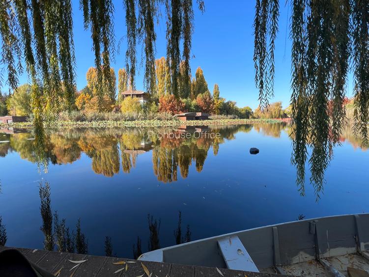 Snagov/Silistea Lac  Doar calitate / liniște. Doar pentru cine știe ce caută. - 3