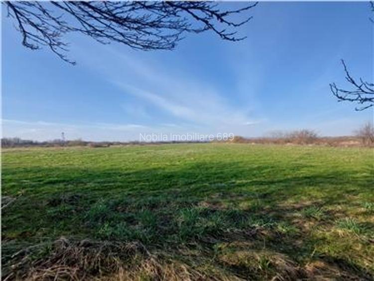 Onești | Teren 33 ha cu utilități • Se vinde integral sau în - 3