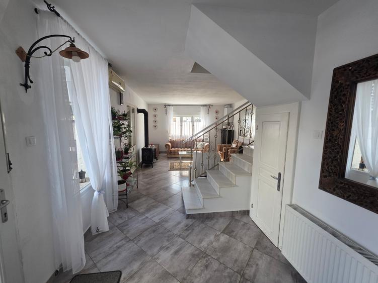 Vand casa P+M central - 10