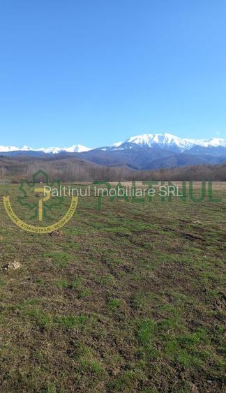 Vindem teren Sibiu, Valea Lupului, priveliste deosebita - 9