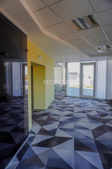 Birouri Piata Charles Gaulles, 301 mp, terasa 100mp, vedere Parcul Herastrau - 12