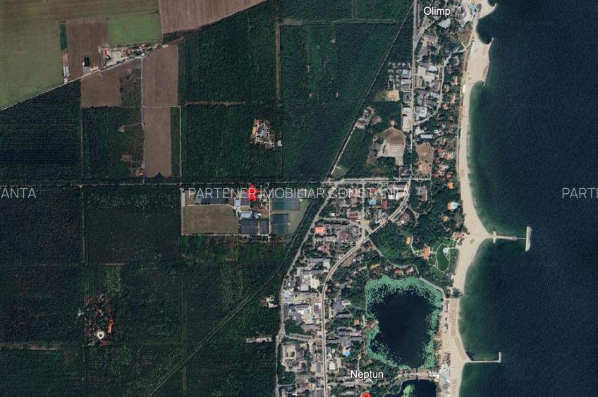 Neptun - Teren construibil in Padurea Comorava - 4