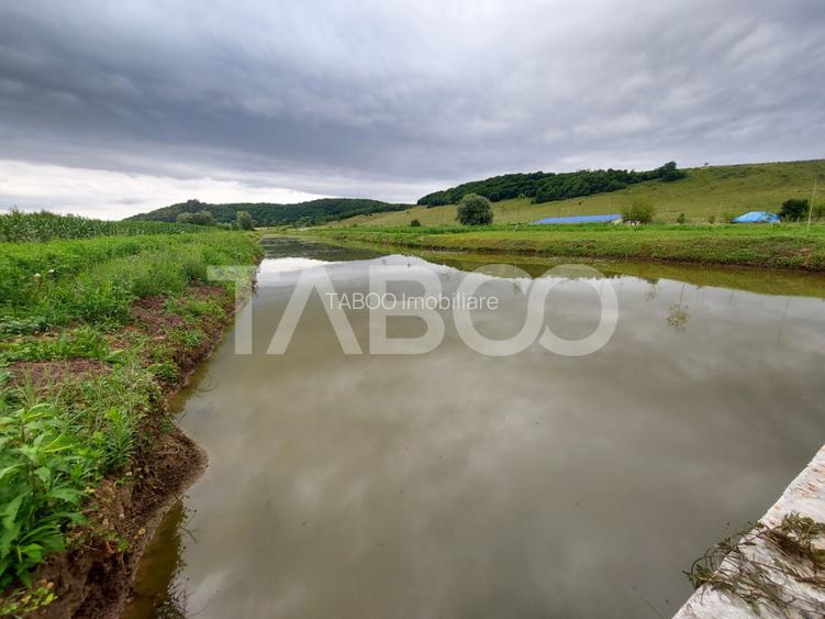 COMISION 0-Casa cu 4000 mp teren piscina zona retrasa in Casolt - 8
