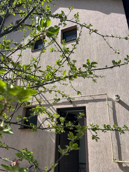 Vilă P+1 4 camere Teren 300 mp  Bragadiru – Strada Safirului - 9