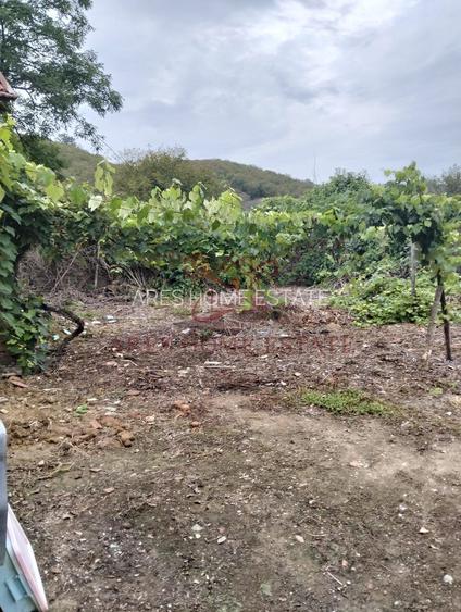 Casa spatioasa | 1500 mp teren - Ticvaniu Mare CS - 10