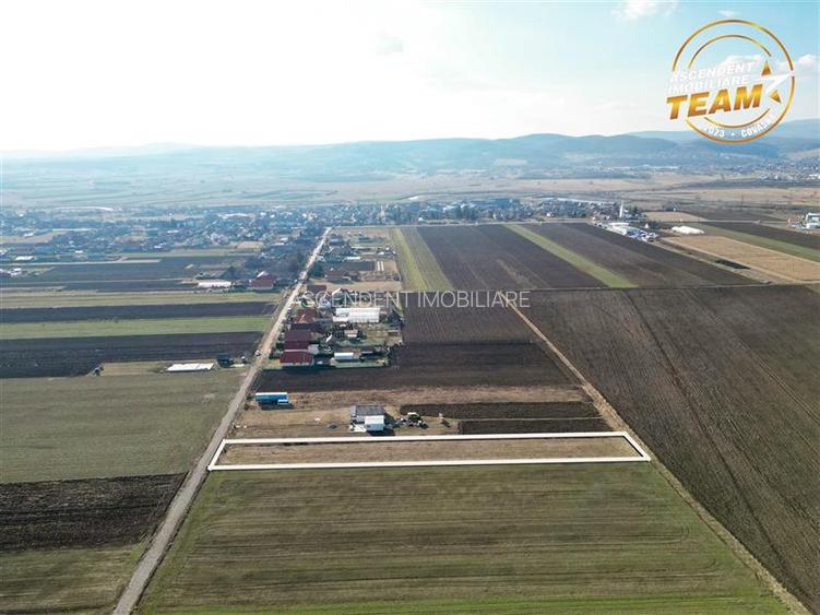 Liniste si aer curat in proximitatea Municipiului Sfantu Gheorghe - 13