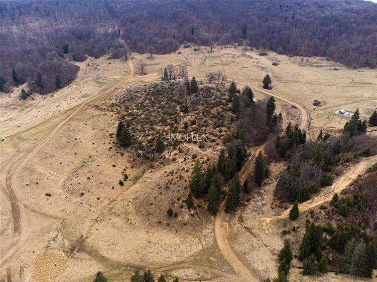 Teren Intravilan 6500 MP- Valea Poienii Aviatorilor ,Aproape de Poiana Brasov si - 9