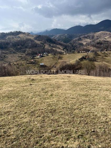 Vanzare Teren cu Punct de Belvedere in Moieciu zona Magura-Pestera - 19