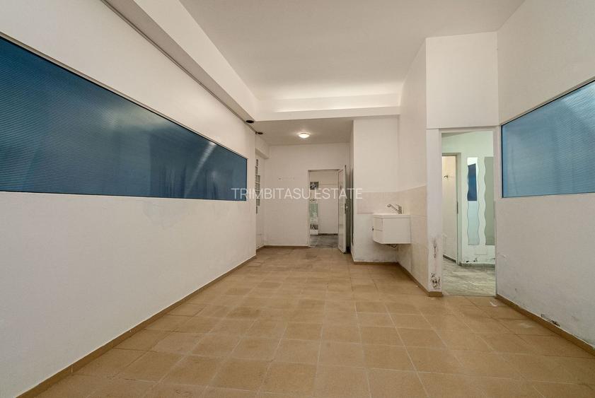 Spatiu comercial  424 mp  Oportunitati multiple - Baneasa Jandarmeriei - 2