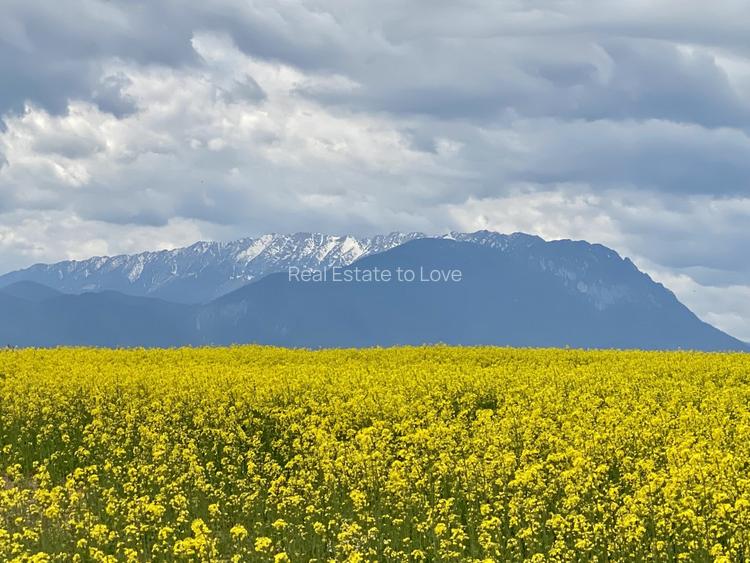 Teren plat P +4 Bran, panoramic munti, DN73, toate utilitatile - 7