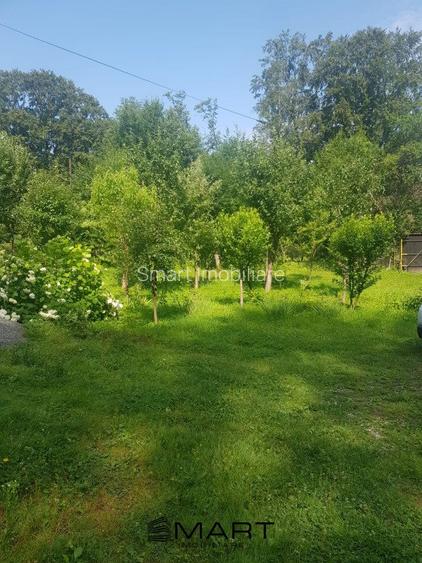 Cabana 4 camere zona Valea Avrigului - 8