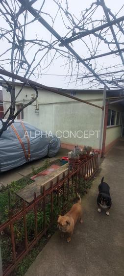 CASA 2 CORPURI - PALAZU MARE - 21