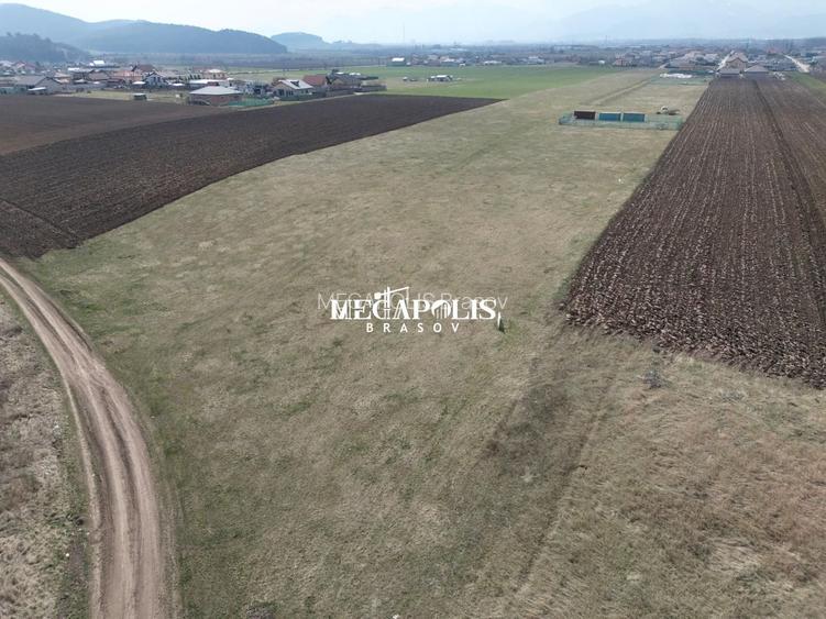 Teren Bod 1200mp/ 37 euro mp - 6