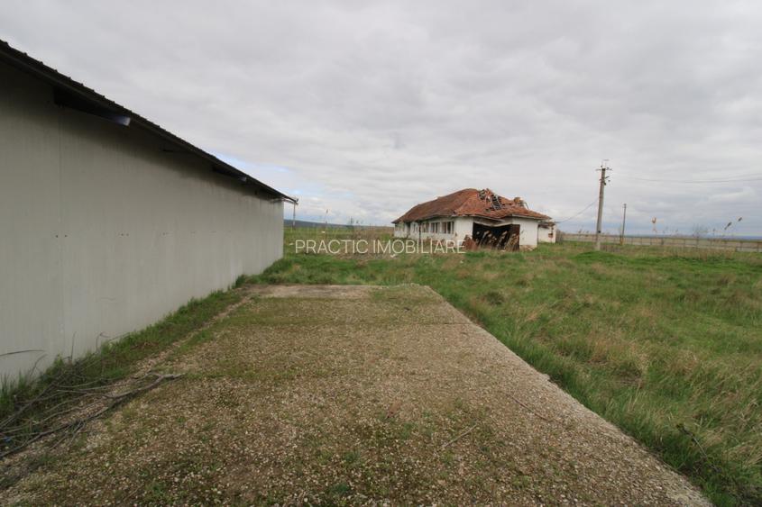 Hala in Foltesti - 6