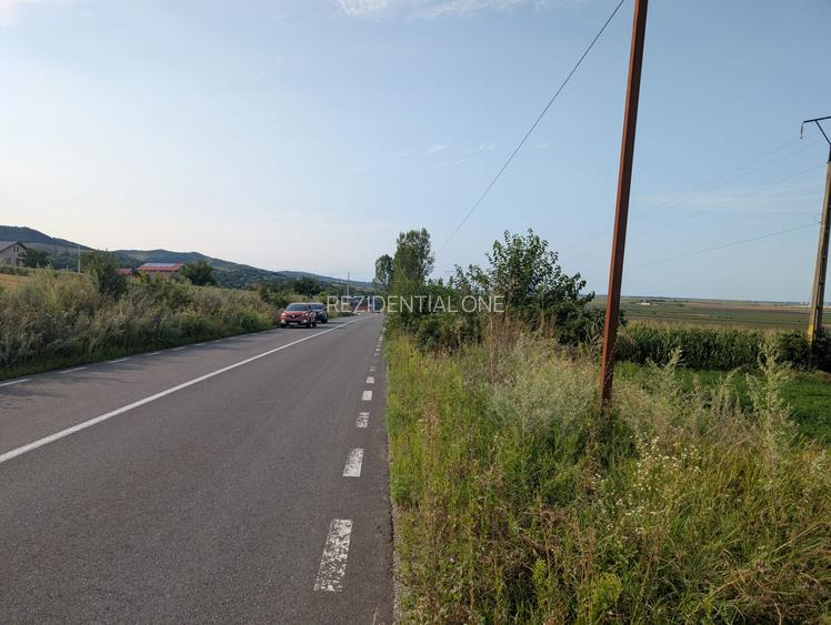 Sărata- lângă Mun. Bacău- 4000 mp- oportunitate investiție - 7