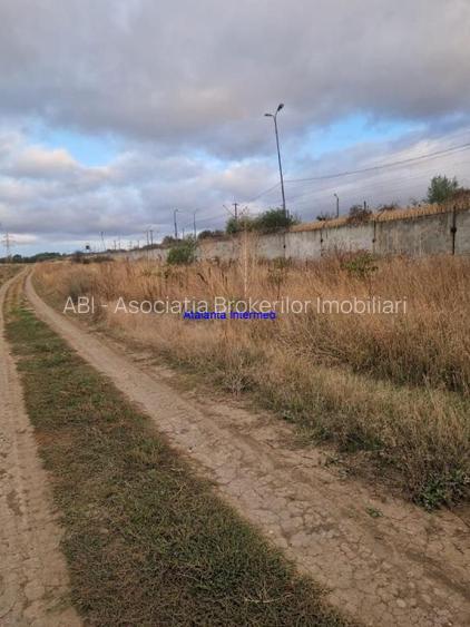 Teren constructie hale - 4