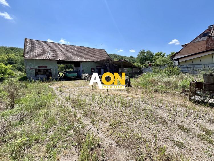 Teren Împrejmuit, 3514mp, Asfalt, Ciugud - 10