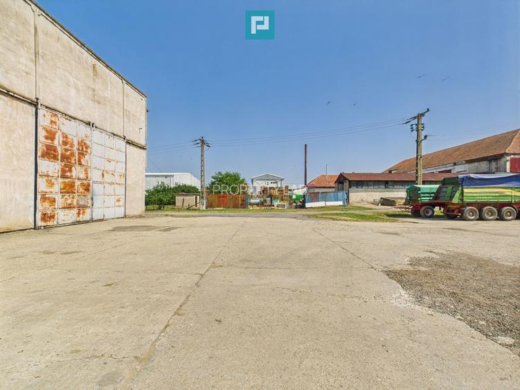 Hală pentru producție - 700 mp utili - 10