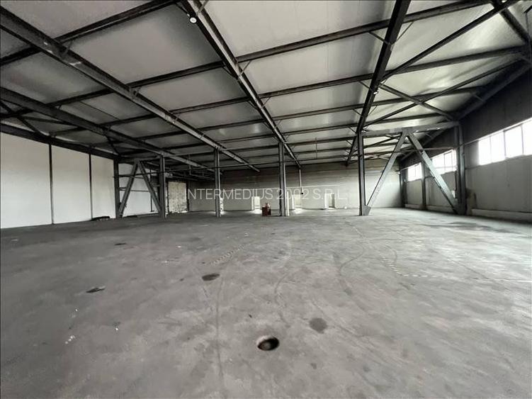 Hala de inchiriat in zona Mehala 1310 mp - 3