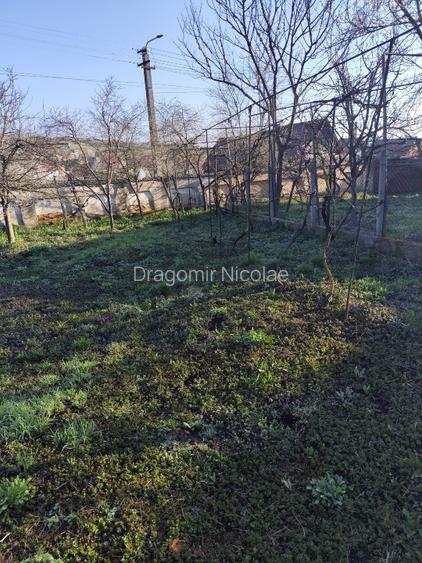 Vand casa Loc. Ohaba, jud. Alba - 6