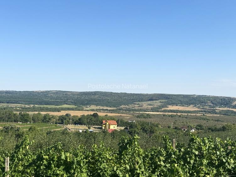 Casă de poveste pe 3 nivele cu 7 camere, 5 terase, locație și vibe de Toscana - 16