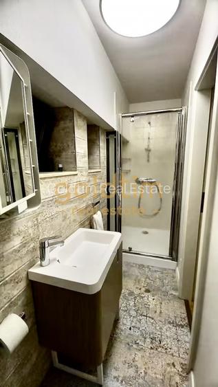 VILA SUPERBA RENOVATA COMPLET/4 APARTAMENTEx120M/480MP/KISELEFF-MUZEUL TARANULUI - 49