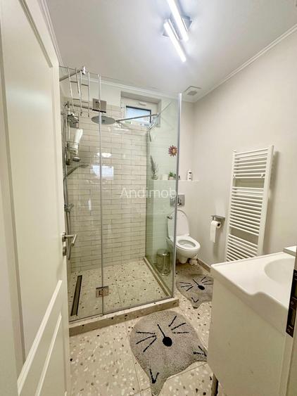Vanzare vila Gradina Icoanei - Dacia - curte, casa de oaspeti - 24