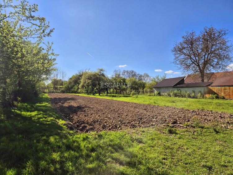 Comision 0 %/ Teren intravilan Sercaita 2247 mp - 6