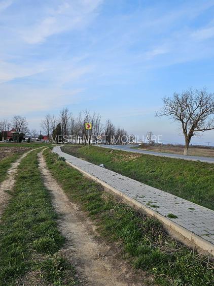 Teren 21600 mp in apropiere de Autostrada Transilvania - 4