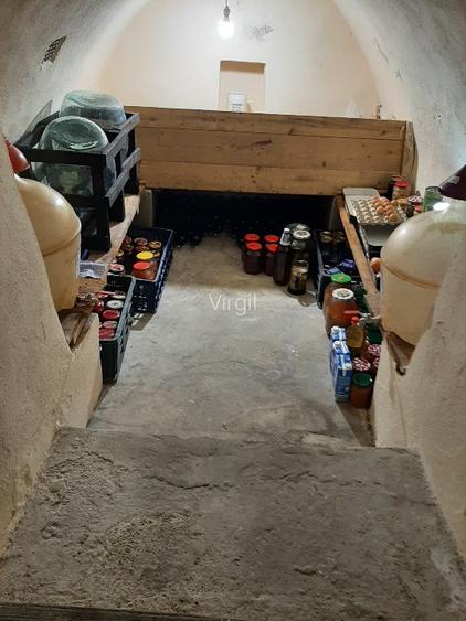 Vilă unică la liziera pădurii-stațiunea Soveja  - 6