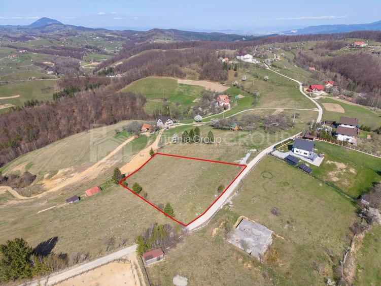 Teren intravilan în Poiana Mărului, 3.791 mp cu priveliste panoramica - 3
