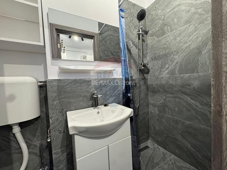 Garsoniera de inchiriat Visinului | Noua - 4