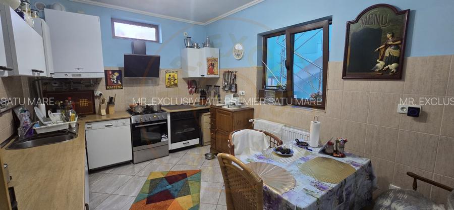 De Vânzare Casă zona Lucian Blaga Satu Mare - 11