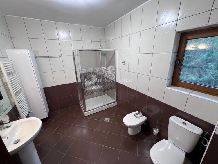 Inchiriere Vila individuala Iancu Nicolae - 29