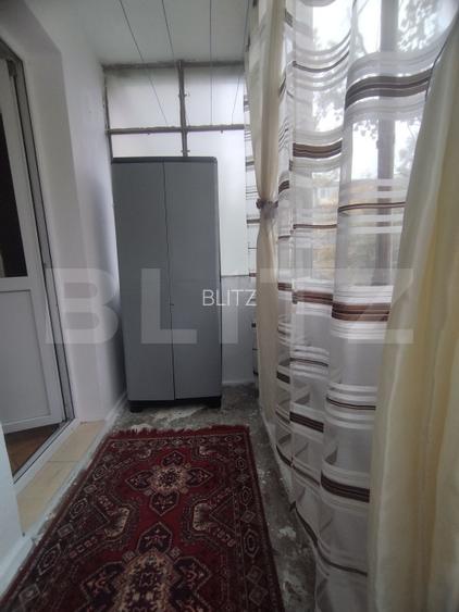 Apartament 3 camere Alexandru cel Bun - 14