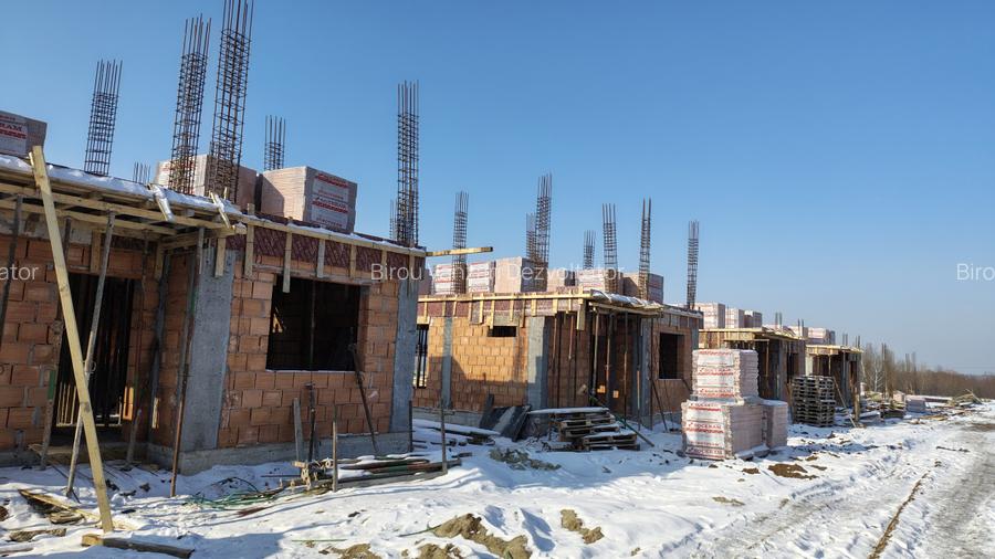 Vile individuale padurea Rosu  - 17