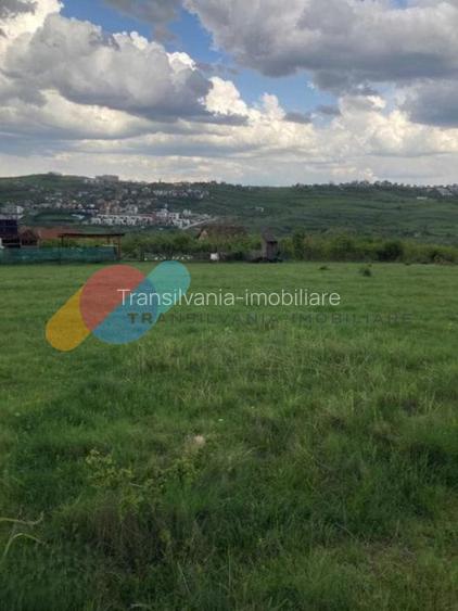 Teren cu PUZ in lucru in Borhanci 1438 mp - 2