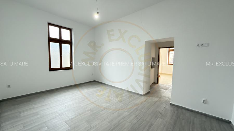 Cladire de inchiriat – ideala pentru clinica medicala sau alte afaceri - Carei - 6