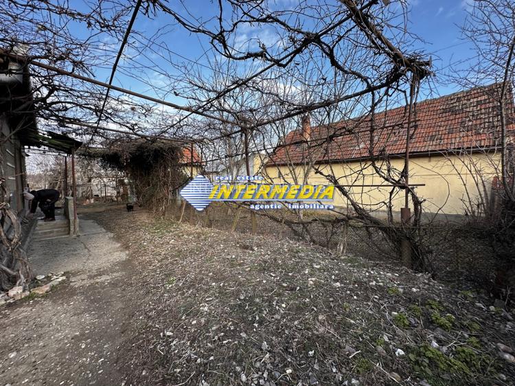 Teren Intravilan intrare Barabant 1242 mp. Poarta Gard Asfalt Utilitati Bransate - 3