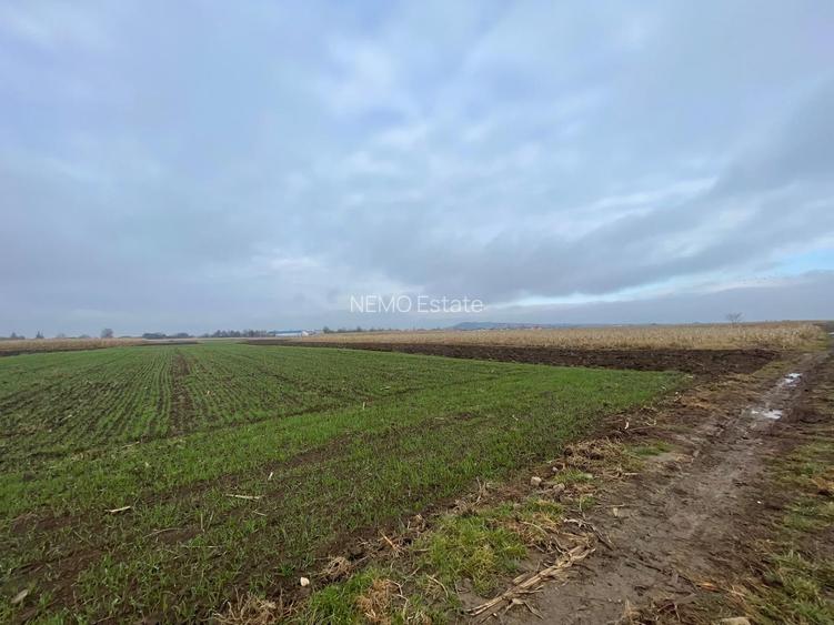 TEREN EXTRAVILAN 13 ARI | FRONT STRADAL 13 M | MARGINEA - 3