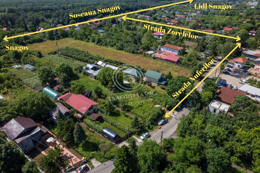 Teren de 4.636 mp în Inima Snagovului – Oportunitate Premium la doar 59 €/mp