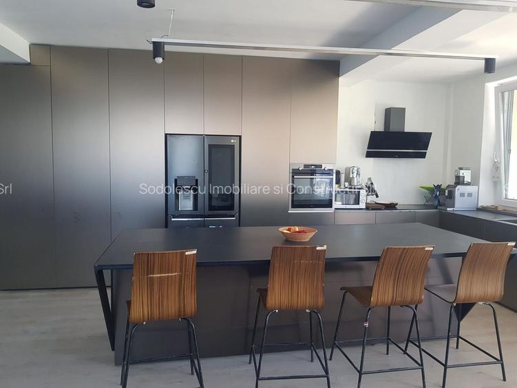 PROIECT MODERN  - Calea Aradului - 2