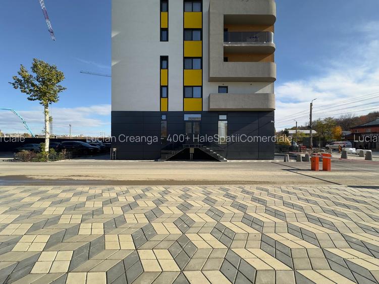 Spatiu comercial intabulat de vanzare, 420mp, Pasaj Bucium - 36