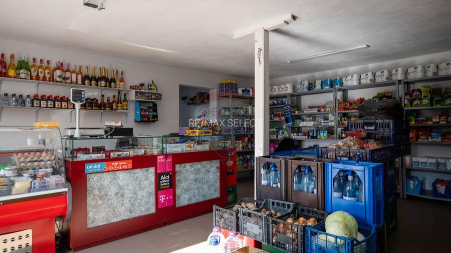 Vanzare vila si spațiu comercial, gradina si garaj-zona Corbii Mari - 10
