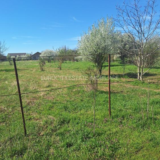 Dragomiresti- Vale, str Nucilor, teren intravilan 2.262mp. - 3